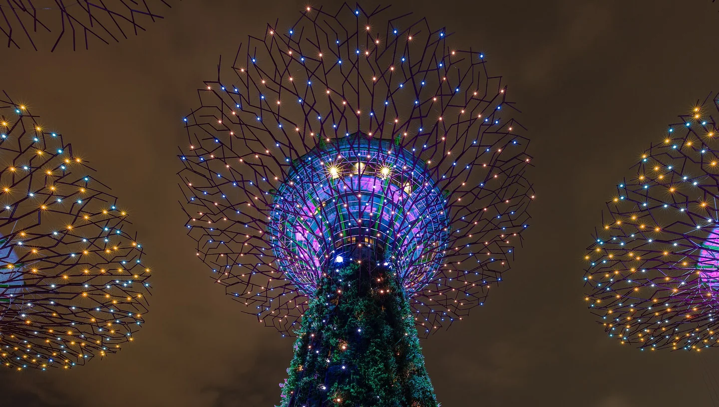 新加坡滨海湾花园擎天树夜间灯光造景